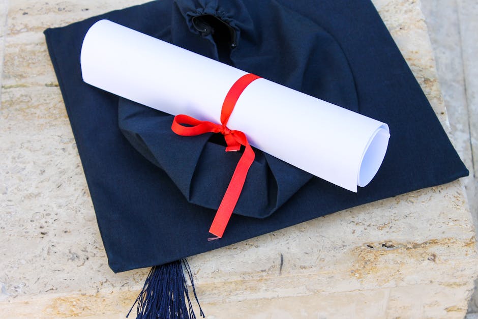 The Ultimate Guide to Getting Your Academic Transcript Online - Same Day Diplomas