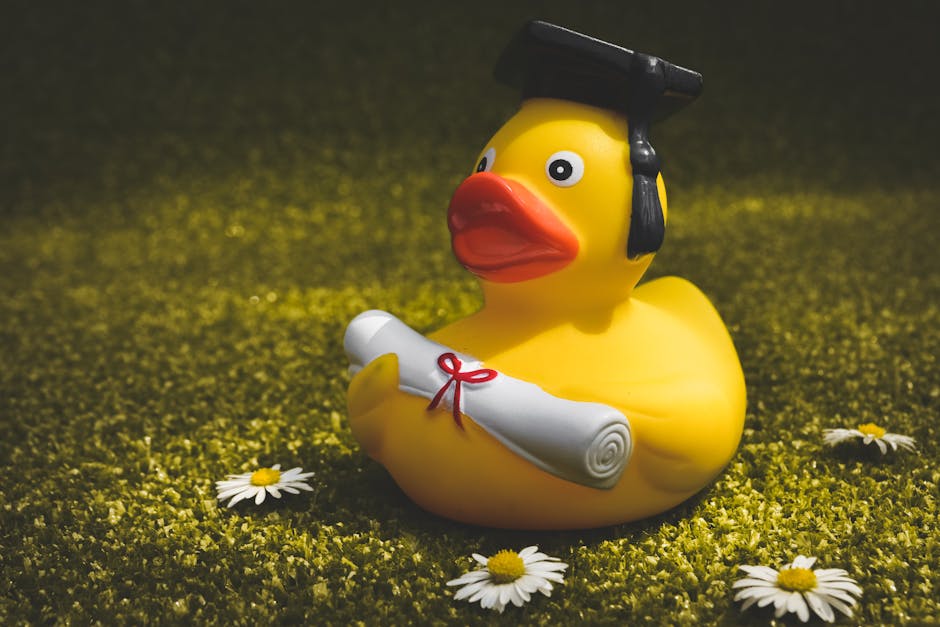Top-Rated Novelty PhD Transcript Replica Makers Reviewed - Same Day Diplomas