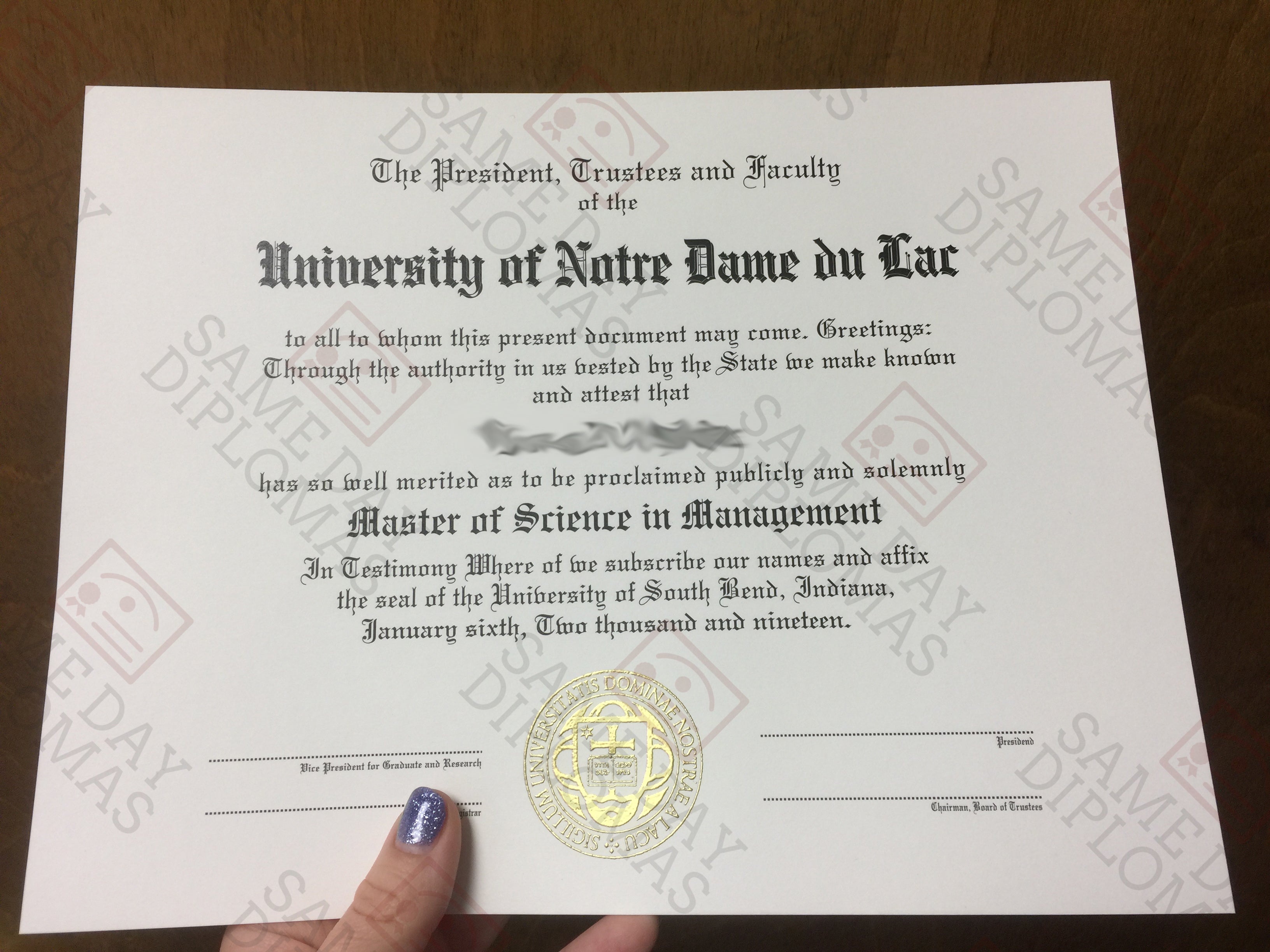 Shop Online Master Degree Diploma