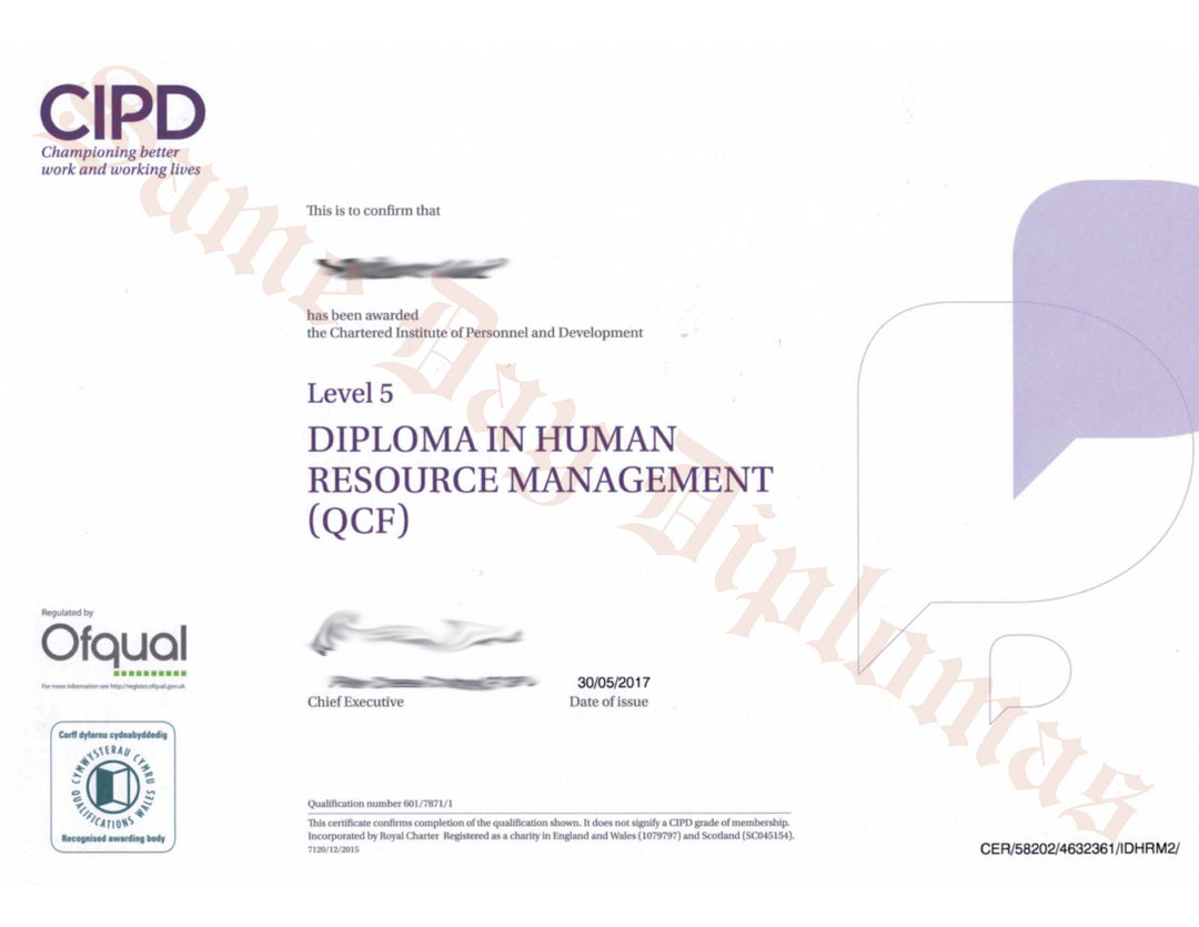 Buy Certificates & Qualifications from UK -  Of All Kinds