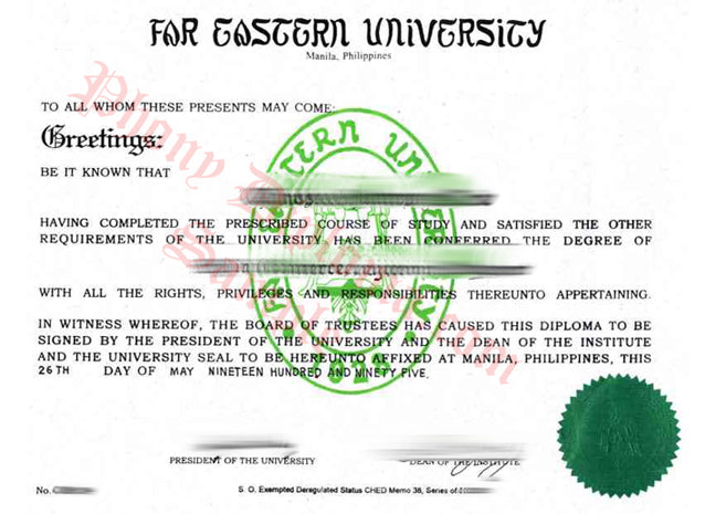 College and University Match Diploma From Philippines