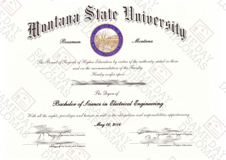 Bachelor Degree Diploma
