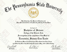 Bachelor Degree Diploma & Transcripts
