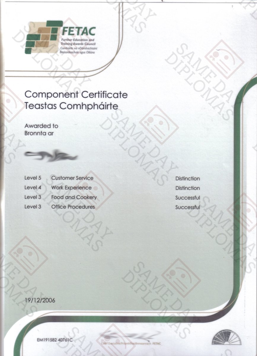 Certificate - FETAC - Doc Printers