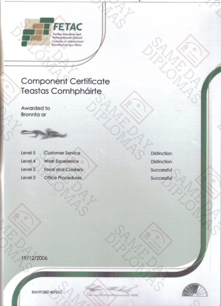 Certificate - FETAC - Doc Printers